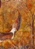 "Fish Eagle"