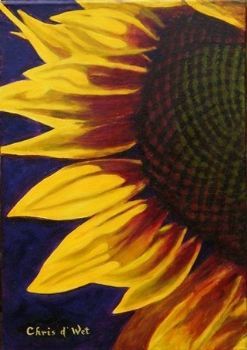 "sunlit sunflower"