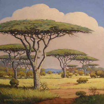 "Camel Thorn Trees."