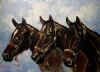 "Polo Ponies (Commisioned)"