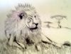 "Lion"