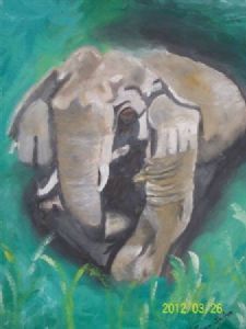 "Elephant Big Five"