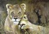 "Lioness with Cub"