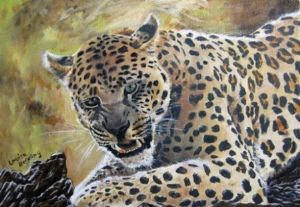 "Leopard"