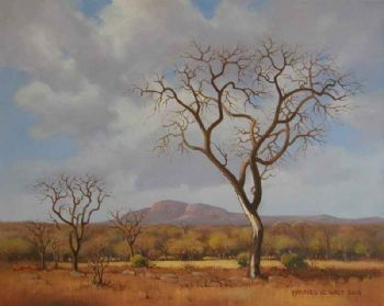 "Yonder Hills, Bushveld"