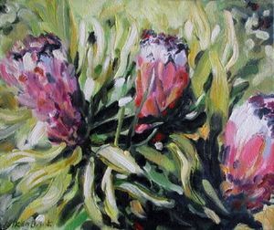 "Proteas"