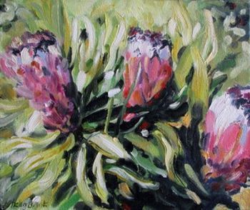 "Proteas"