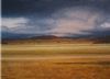 "Namibia After Rain Ii"