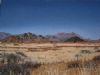 "Near Sossusvlei"