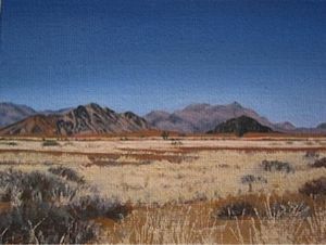 "Near Sossusvlei"