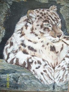 "Snow Leopard"