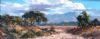 "Bushveld Landscape"