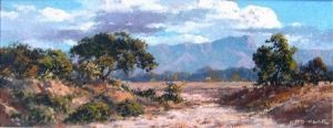 "Bushveld Landscape"