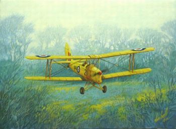 "DeHavilland D.H.82A Tiger Moth - Staying Low"