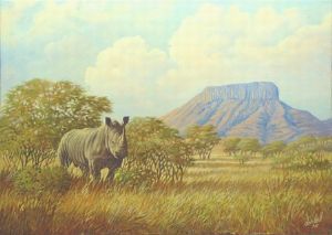 "Rhino and Mt Hangklip"