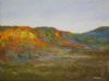"Sunrise Karooo National Park"