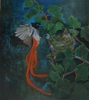 "Fly Catcher 2"