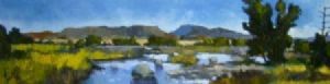 "Blue Karoo"