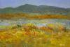 "Breede River"