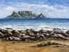 "Table Mountain (Wonder of the World)"