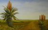 "Cape Aloe landscape"