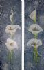 "Decorative Lilies"