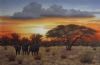 "Buffalo Sunset"