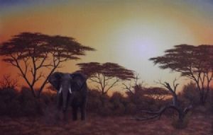 "Elephant Sunset"