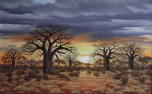 "Five Baobab Sunset"