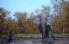 "Elephant & African Darter, near Moremi, Botswana"