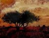 "African Sunset"