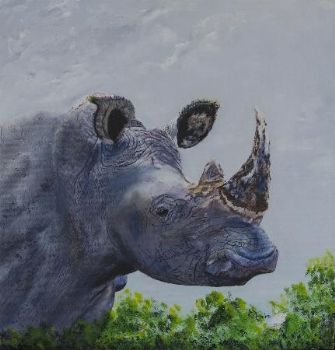 "Rhinoceros Head"
