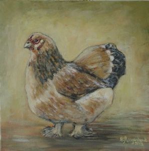 "Featherfoot Hen"