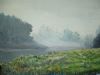"Misty Forest"