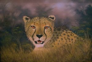 "Cheetah Study"