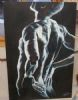 "Male torso"