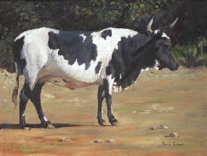 "Nguni 29"