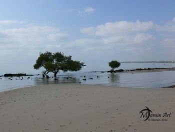 "Tree in Water"