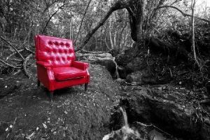 "Forest 2, My Father's Chair"