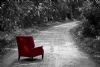 "Forest Road, My Father's Chair"