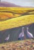 "Blue Cranes, Overberg"