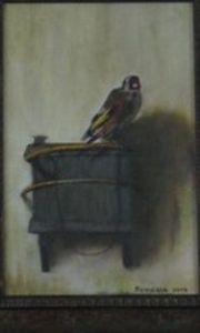 "House Sparrow 