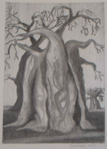"Baobab 2"