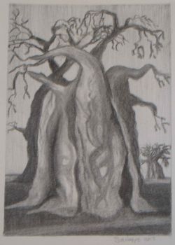 "Baobab 2"