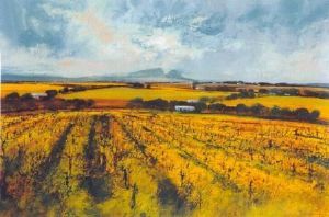 "Stellenbosch Vineyards"