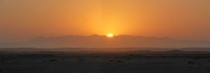 "Morning Desert Sun"