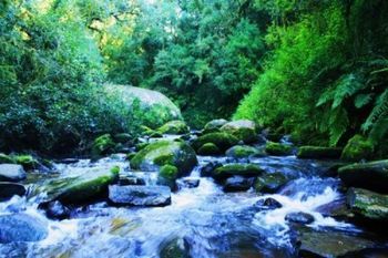 "Dancing Waters"