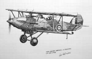 "SAAF Hawker Hartbees"