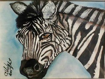 "My Zebra"