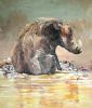 "Wallowing Warthog"